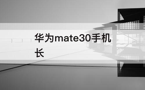 华为mate30手机长