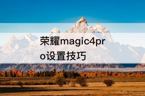 荣耀magic4pro设置技巧