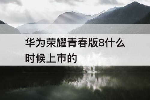 华为荣耀青春版8什么时候上市的