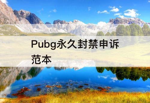 Pubg永久封禁申诉范本