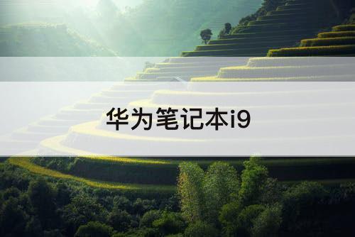 华为笔记本i9