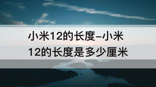 小米12的长度-小米12的长度是多少厘米