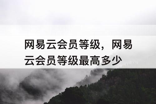 网易云会员等级,网易云会员等级最高多少