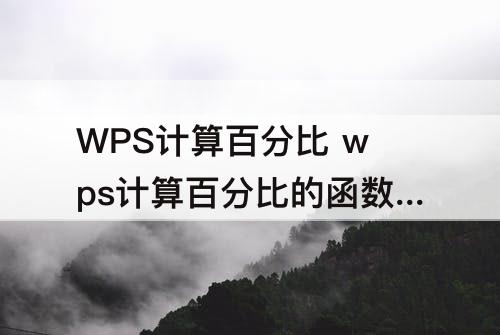 WPS计算百分比 wps计算百分比的函数公式
