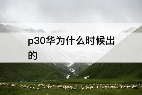 p30华为什么时候出的