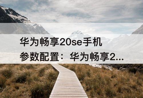 华为畅享20se手机参数配置：华为畅享20se手机参数配置详情