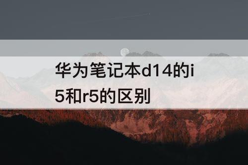 华为笔记本d14的i5和r5的区别
