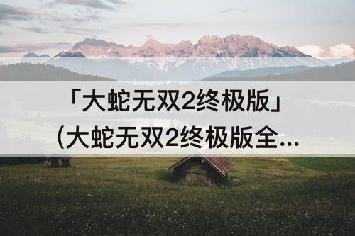 「大蛇无双2终极版」(大蛇无双2终极版全成就)