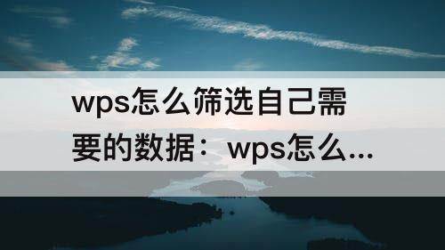 wps怎么筛选自己需要的数据:wps怎么筛选自己需要的数据收集