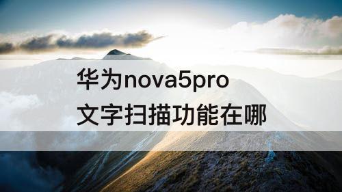 华为nova5pro文字扫描功能在哪