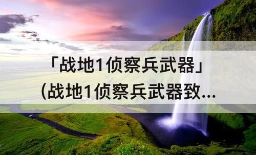 「战地1侦察兵武器」(战地1侦察兵武器致死距离表)