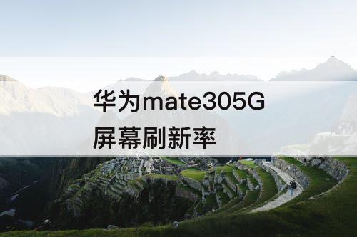 华为mate305G屏幕刷新率