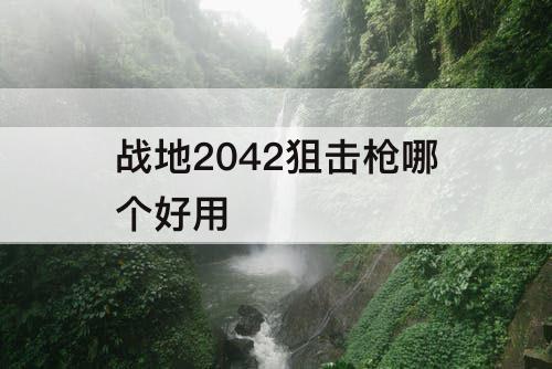 战地2042狙击枪哪个好用