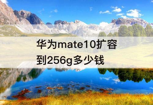 华为mate10扩容到256g多少钱