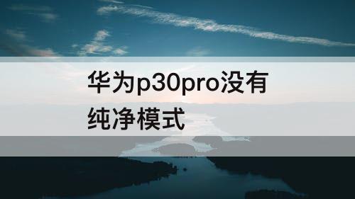 华为p30pro没有纯净模式