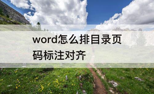 word怎么排目录页码标注对齐