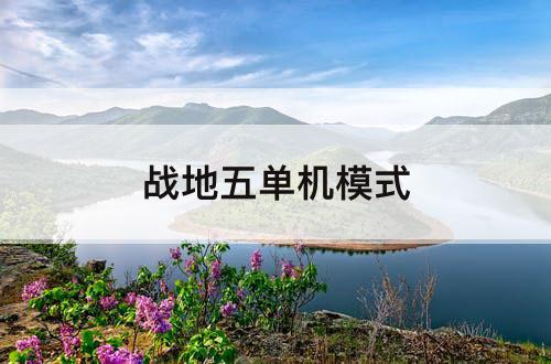 战地五单机模式