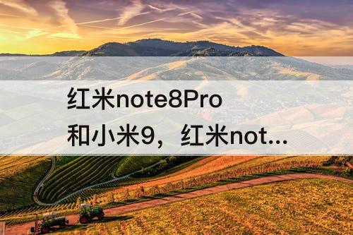 红米note8Pro和小米9,红米note8pro和小米9se拍照