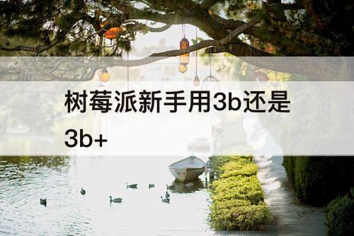 树莓派新手用3b还是3b+