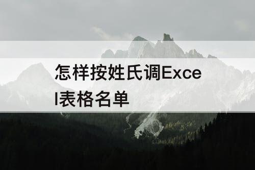 怎样按姓氏调Excel表格名单