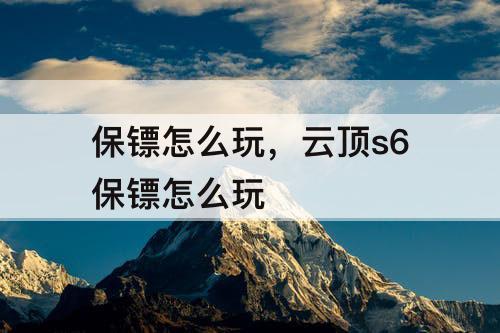 保镖怎么玩,云顶s6保镖怎么玩