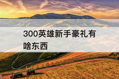 300英雄新手豪礼有啥东西