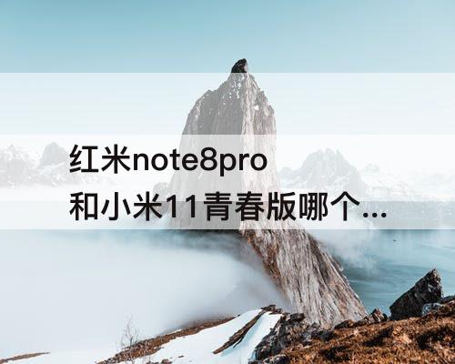 红米note8pro和小米11青春版哪个好